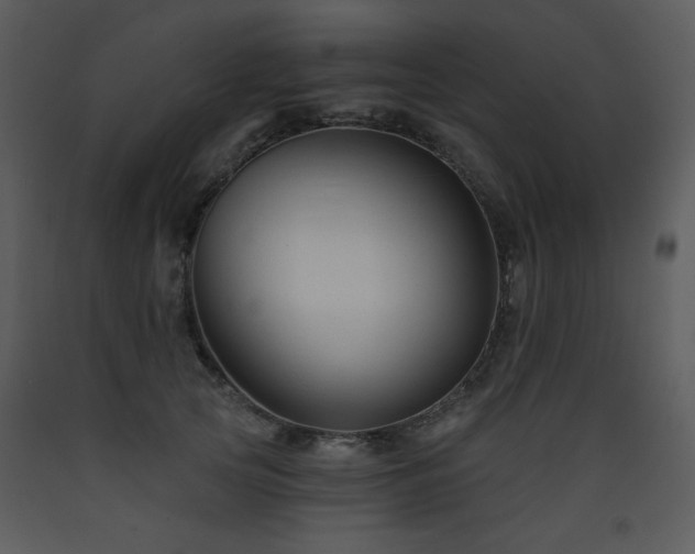X0000090630753200707171447