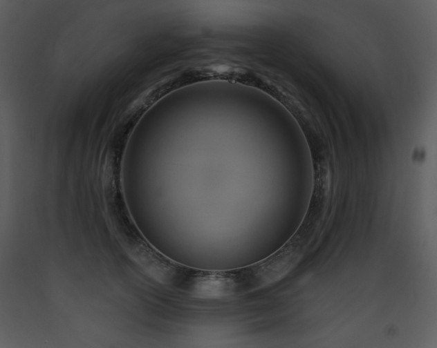 X0000090630754200707171447
