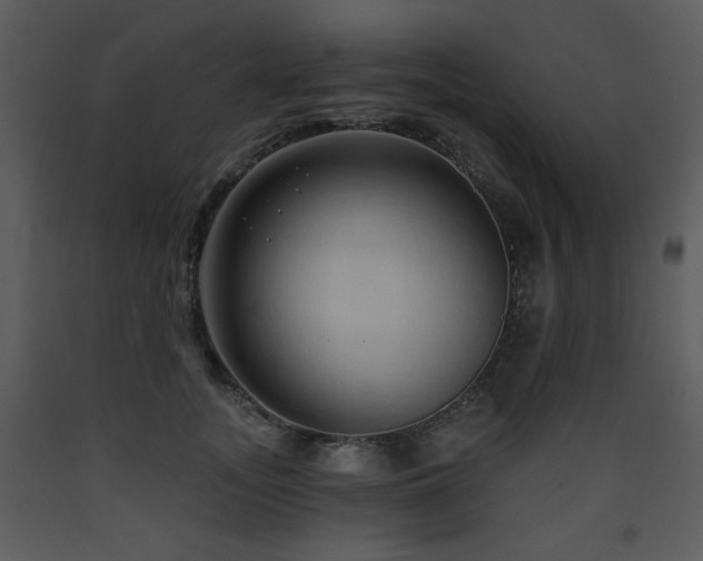 X0000090630755200707171447