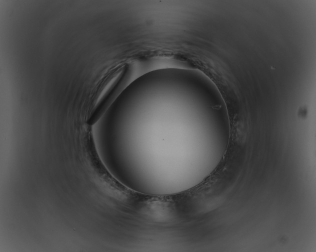 X0000090630756200707171447