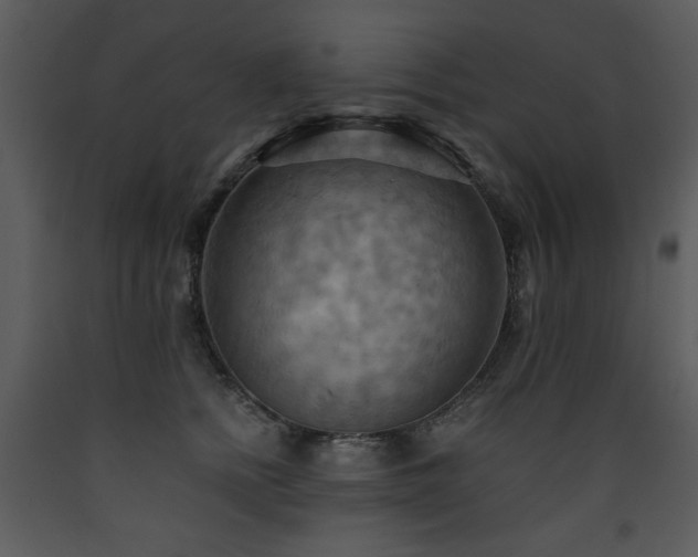 X0000090630758200707171447