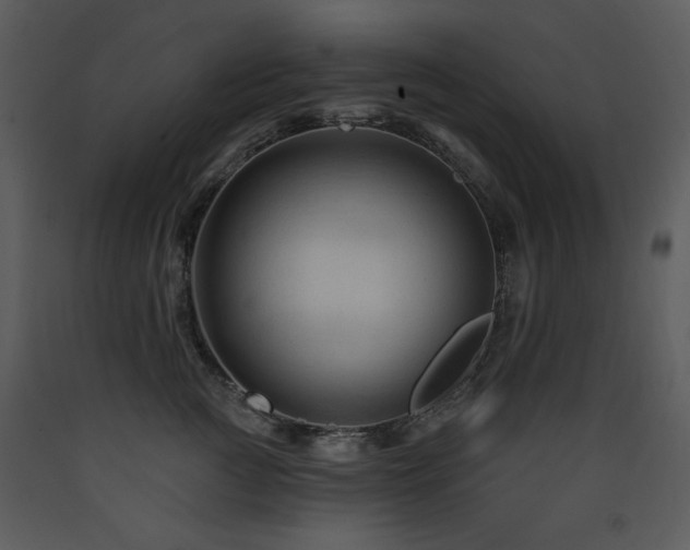 X0000090630761200707171447
