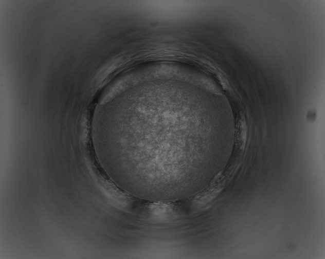 X0000090630762200707171447