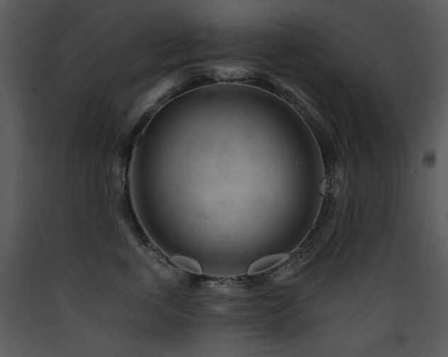 X0000090630763200707171447
