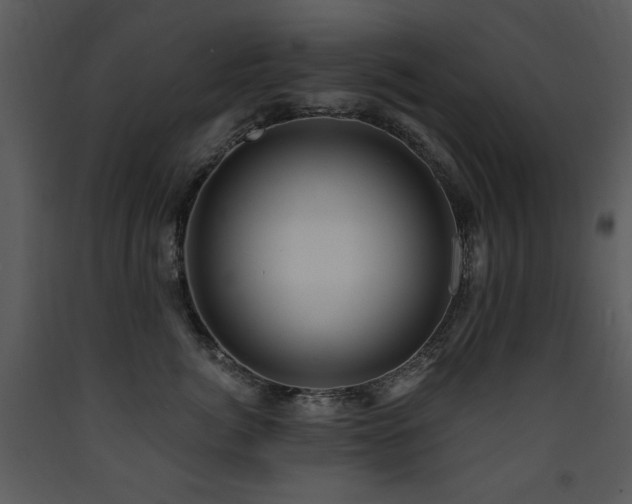 X0000090630764200707171447