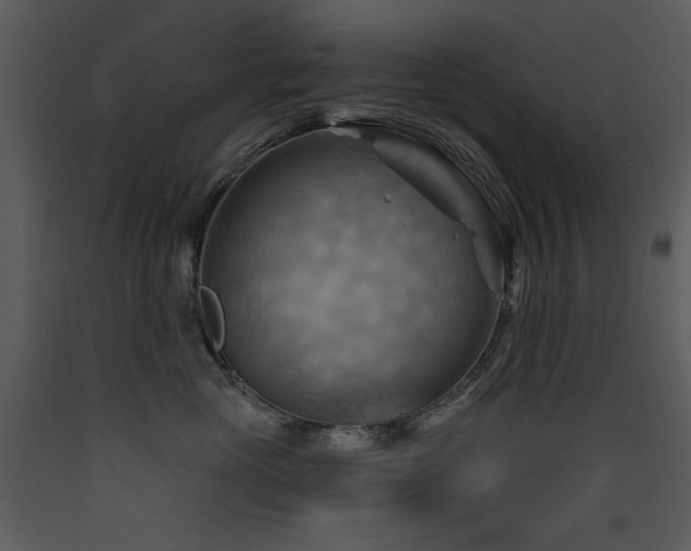X0000090630765200707171447