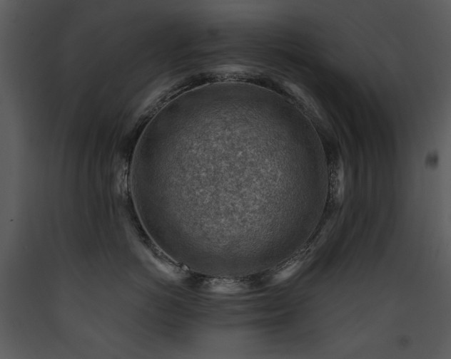 X0000090630766200707171447