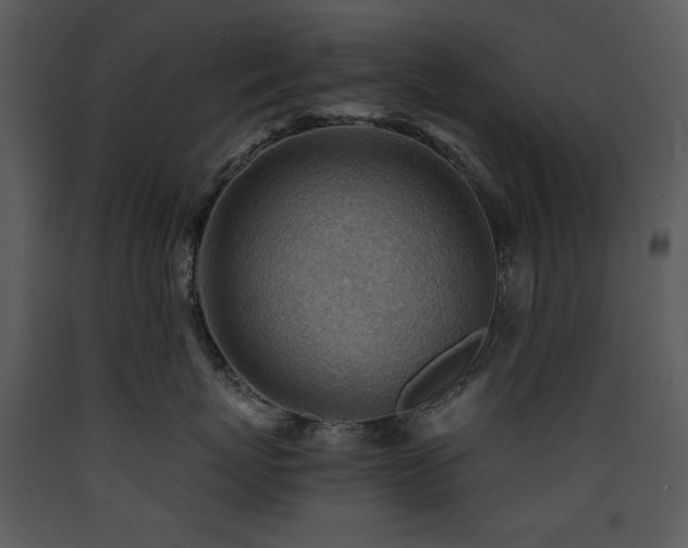 X0000090630767200707171447