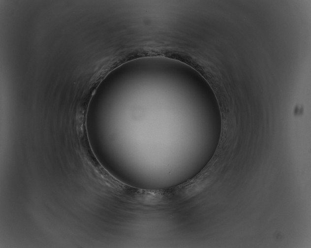 X0000090630768200707171447