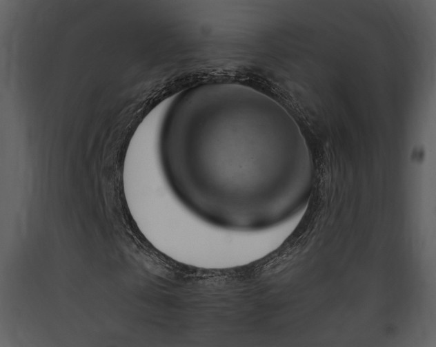 X0000090630769200707171447