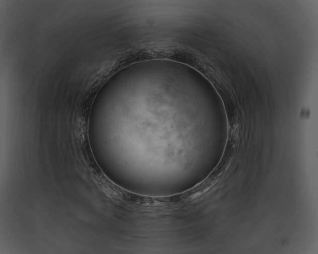 X0000090630772200707171447