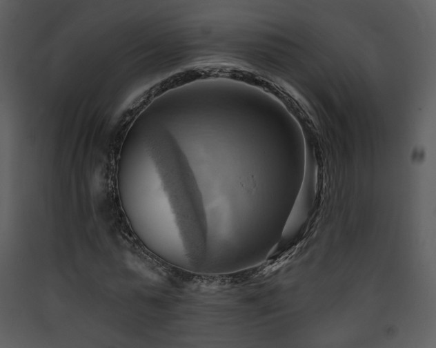 X0000090630775200707171447