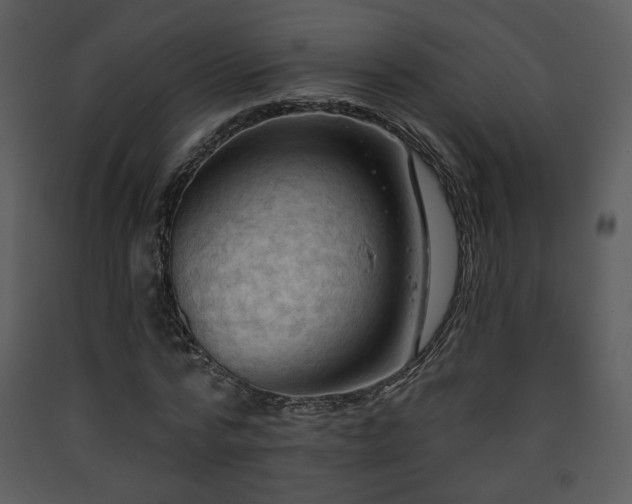 X0000090630776200707171447