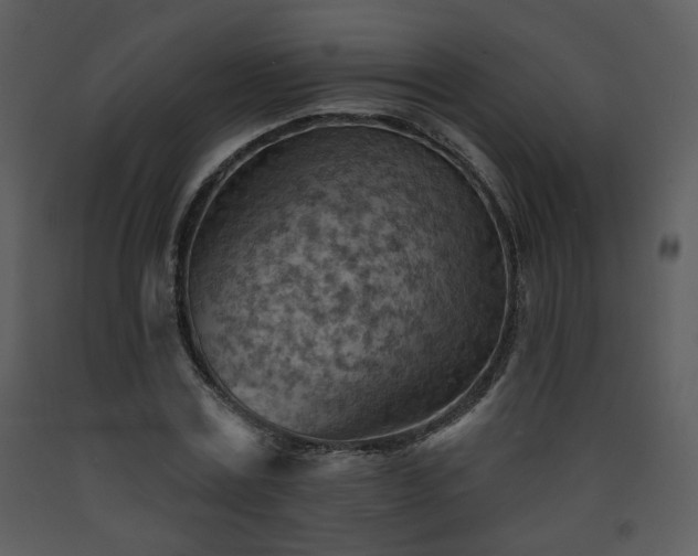 X0000090630779200707171447
