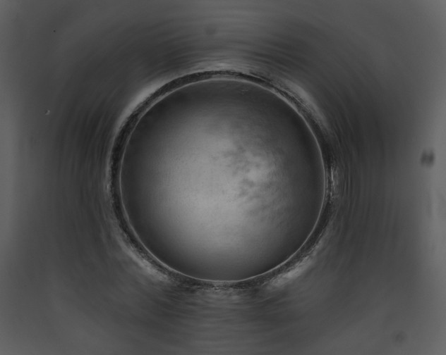 X0000090630780200707171447
