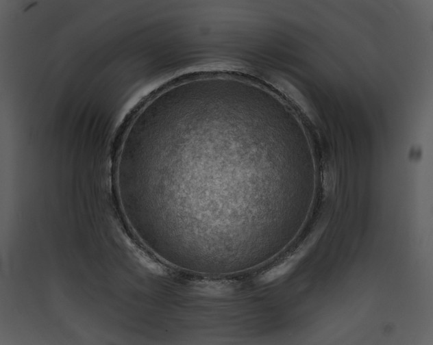 X0000090630781200707171447