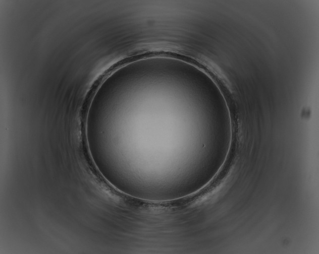 X0000090630782200707171447