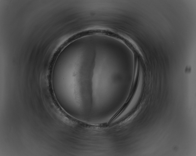 X0000090630783200707171447