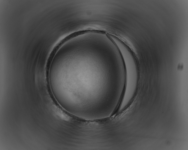 X0000090630784200707171447