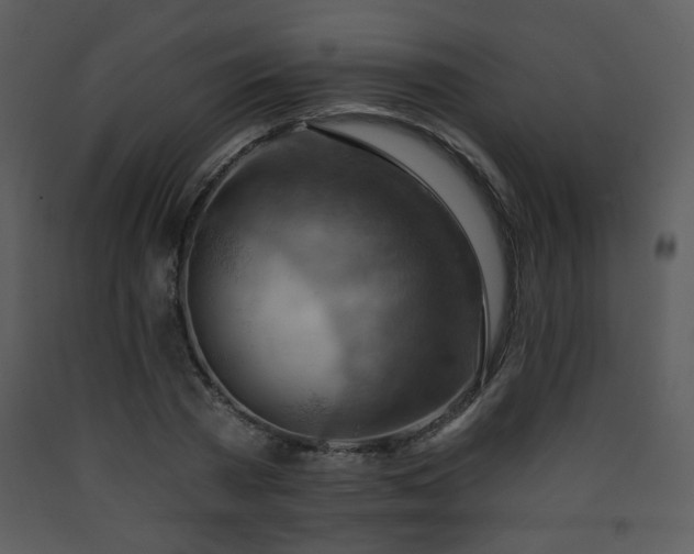 X0000090630785200707171447