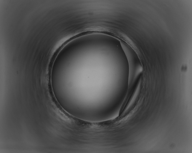 X0000090630787200707171446