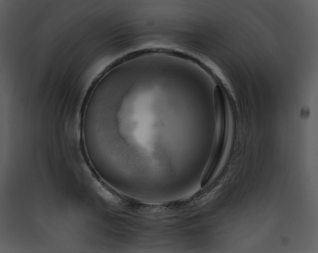X0000090630791200707171446