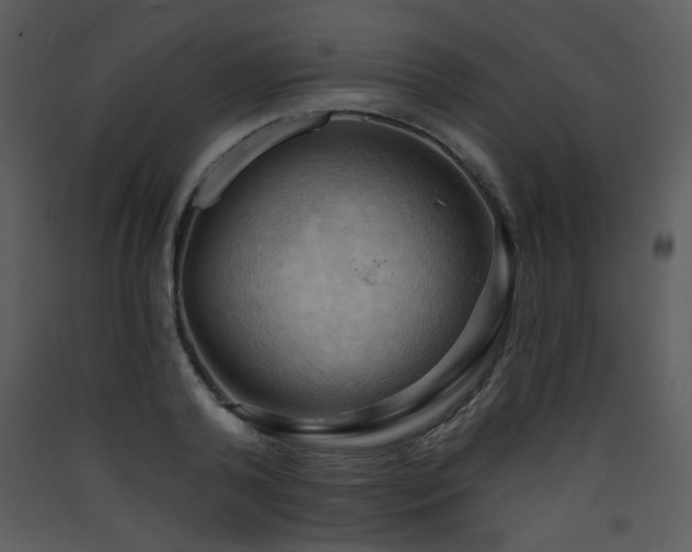X0000090630792200707171446