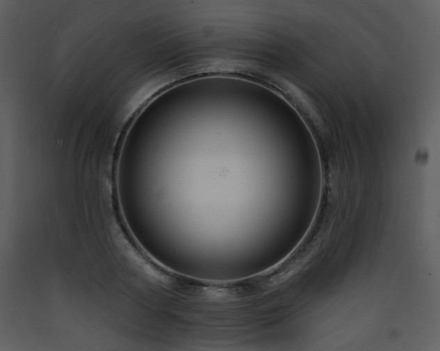 X0000090630794200707171446