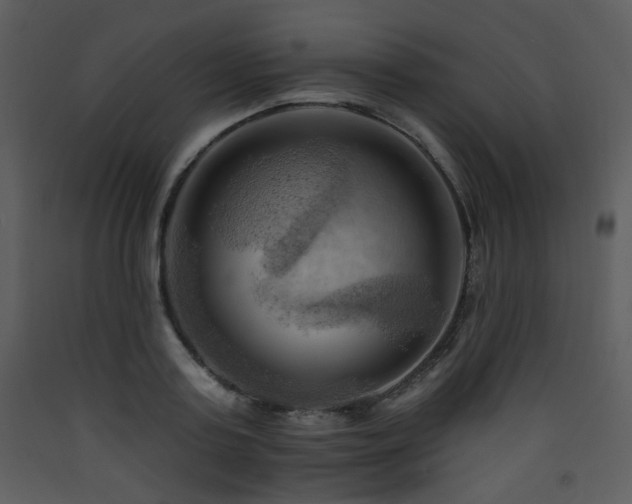 X0000090630795200707171446