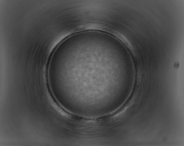 X0000090630798200707171446