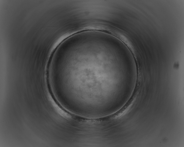 X0000090630803200707171446