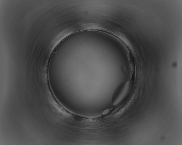 X0000090630806200707171446