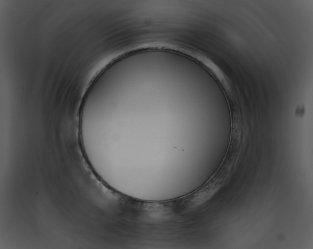 X0000090630807200707171446