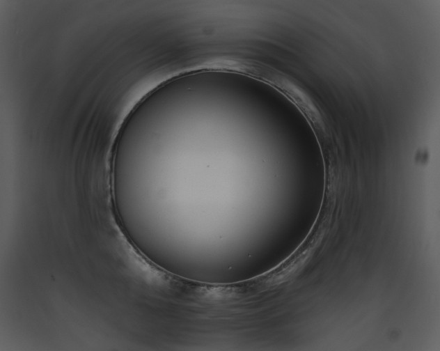 X0000090630808200707171446