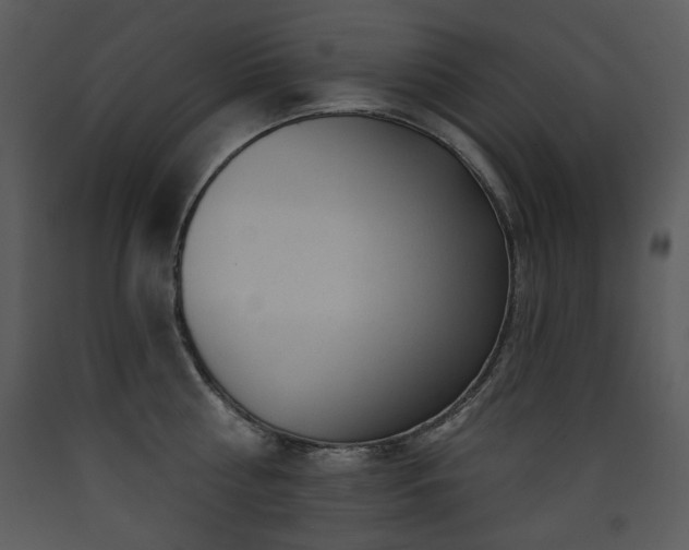X0000090630810200707171446