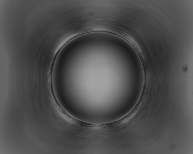 X0000090630814200707171446
