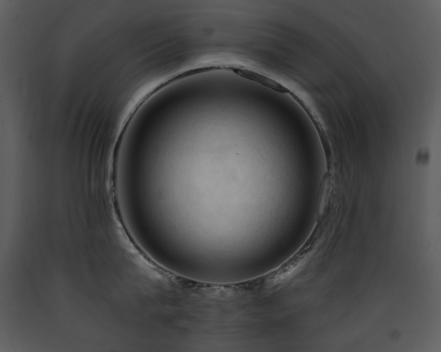 X0000090630815200707171446