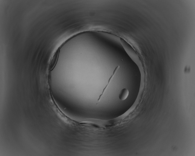 X0000090630816200707171446