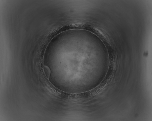 X0000090630817200707171445