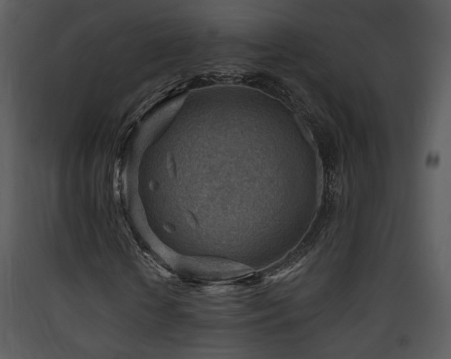 X0000090630818200707171445
