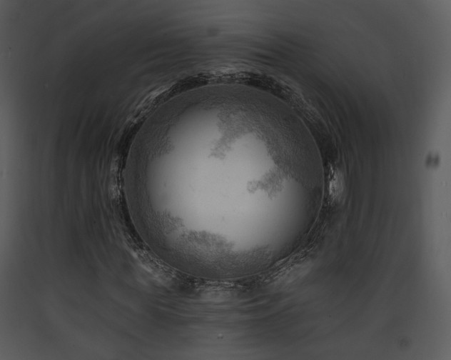 X0000090630819200707171445