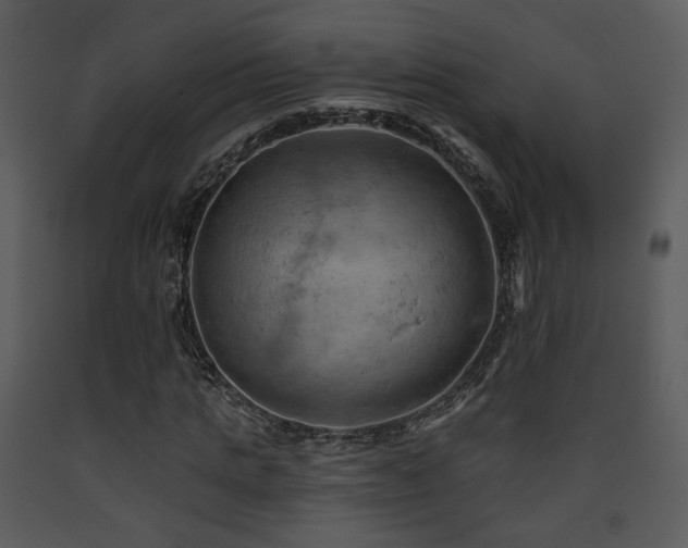 X0000090630821200707171445