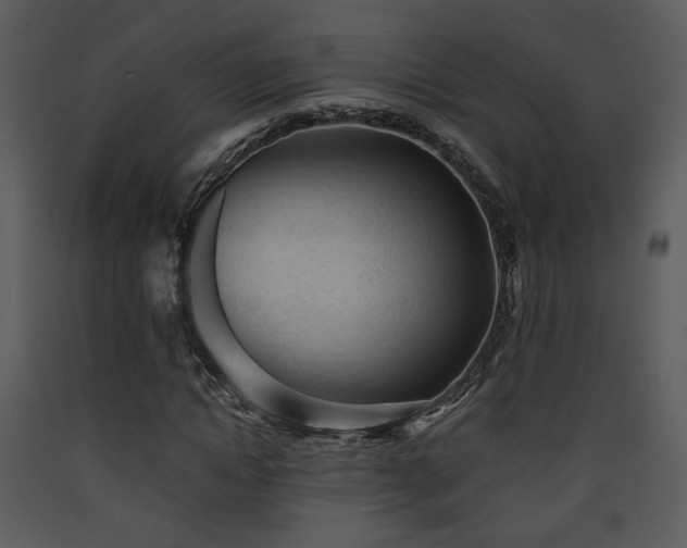 X0000090630822200707171445