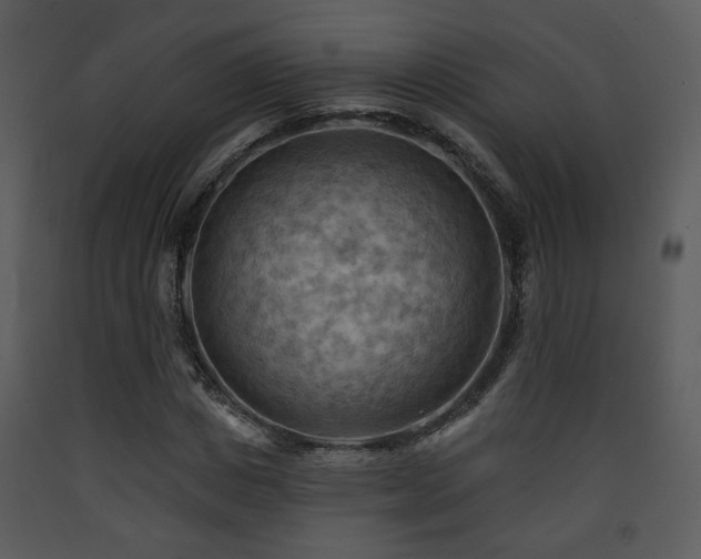 X0000090630825200707171445