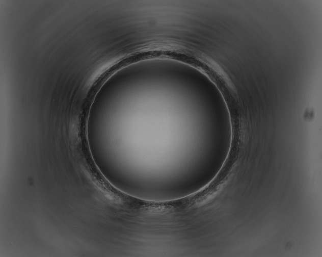 X0000090630826200707171445