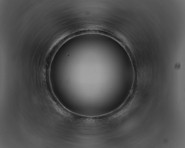 X0000090630827200707171445