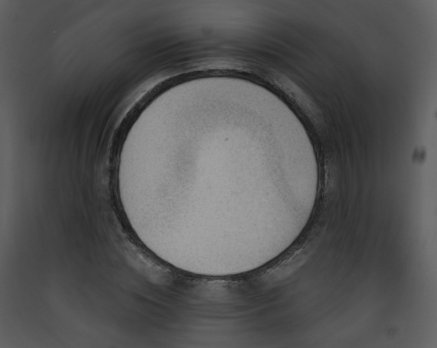 X0000090630828200707171445
