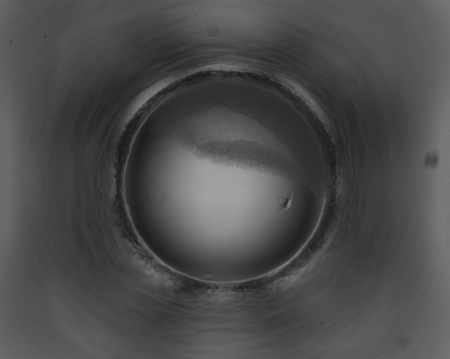 X0000090630829200707171445
