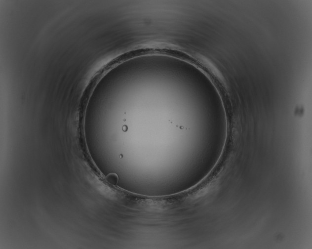 X0000090630831200707171445
