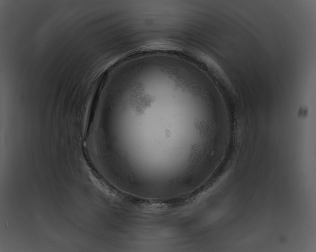 X0000090630833200707171445